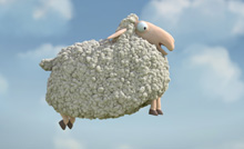 Oh Sheep